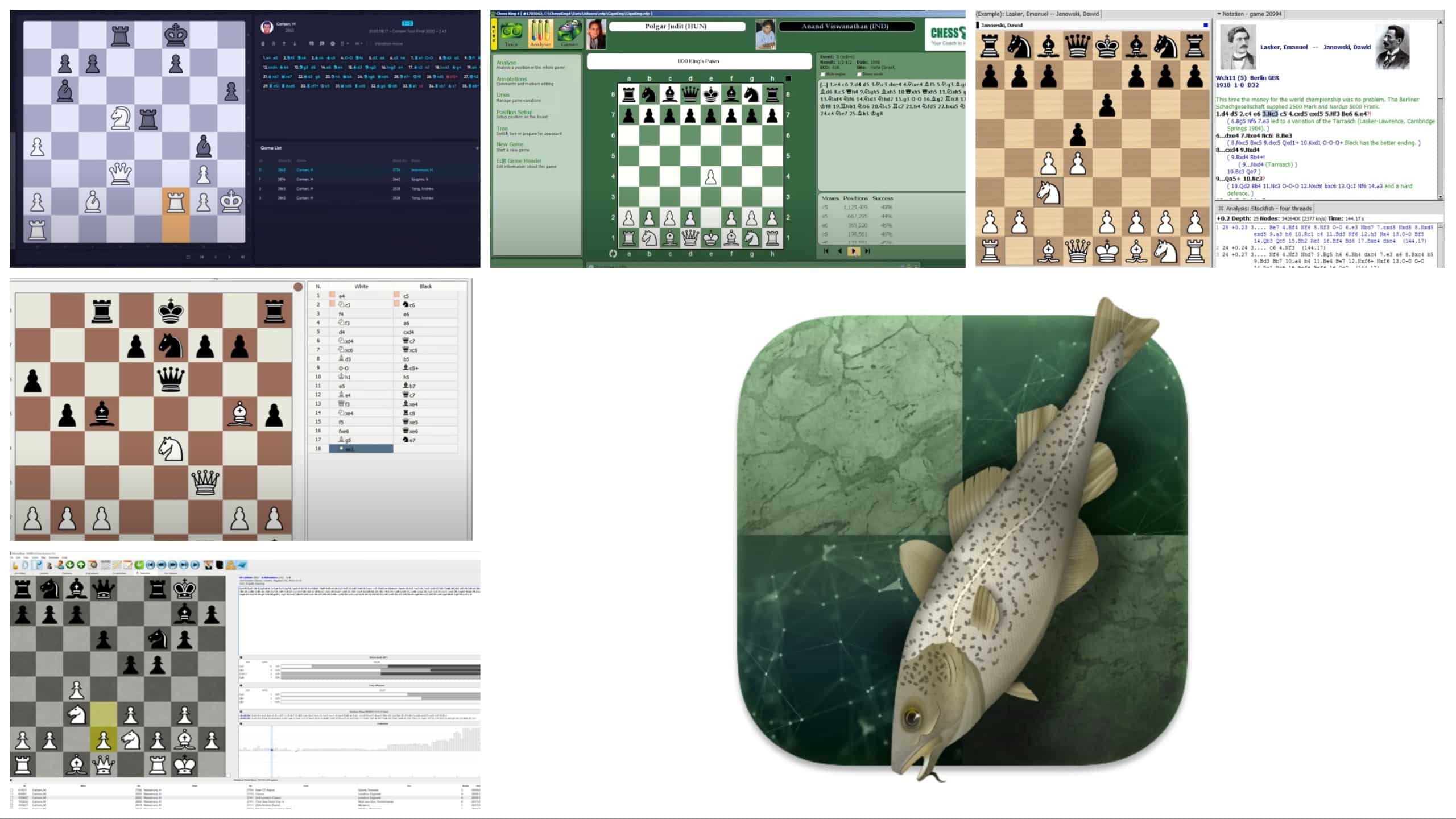 Chess Software Review